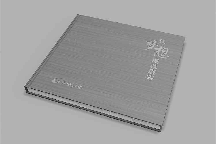 珠海LNG畫冊設計