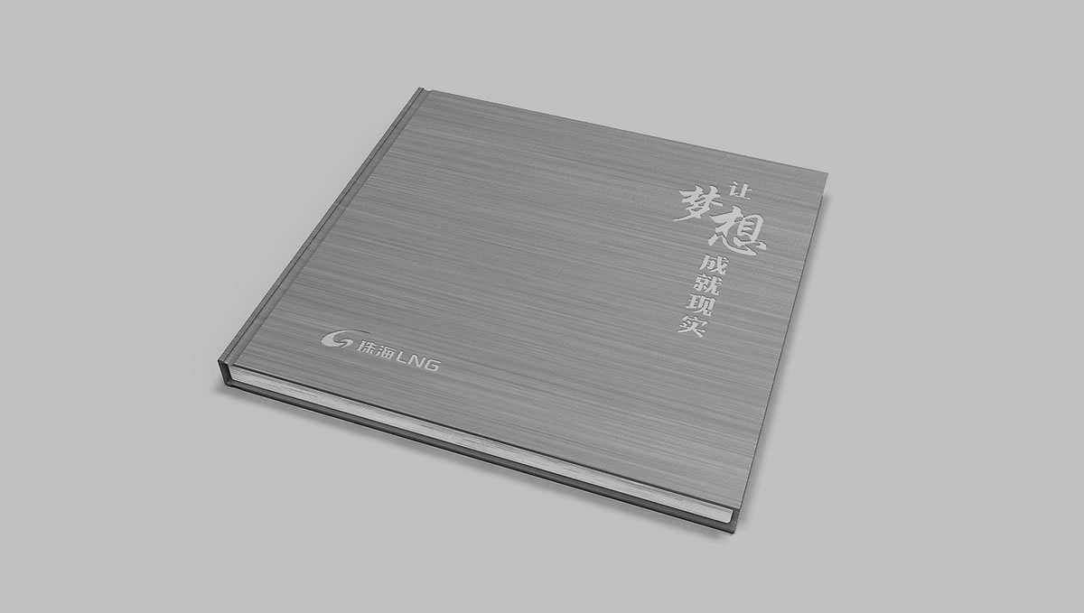 珠海LNG商標設計,珠海LNG logo設計,珠海LNG畫冊設計