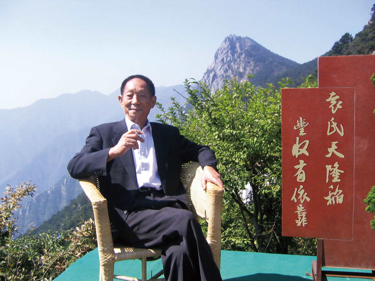 隆平大米商標設計,隆平大米logo設計,隆平大米畫冊設計