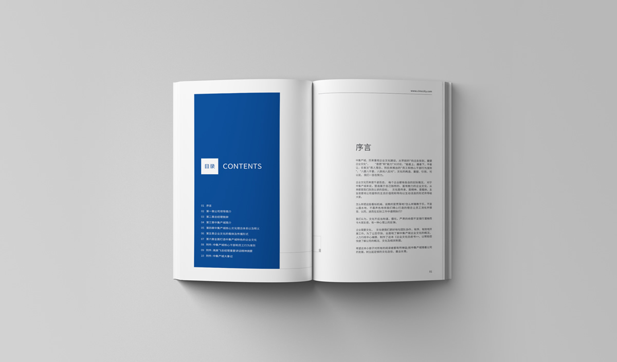 中集產(chǎn)城企業(yè)畫冊設計,中集產(chǎn)城品牌白皮書設計